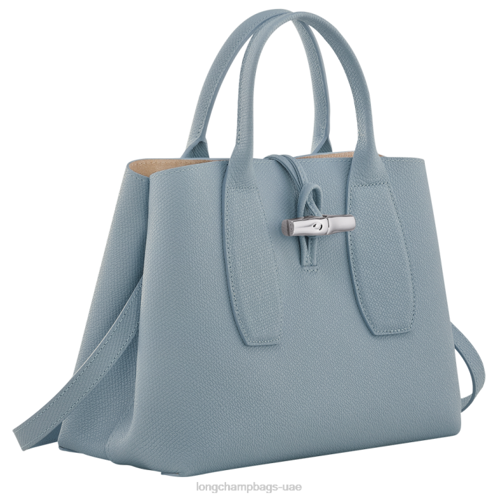 Longchamp حقيبة يد روسو م نحيف D2LB107