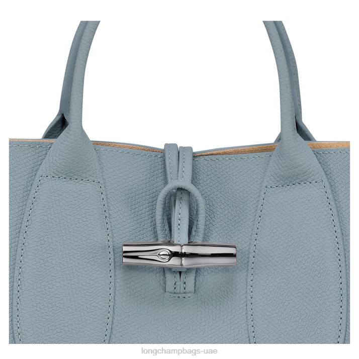 Longchamp حقيبة يد روسو م نحيف D2LB107