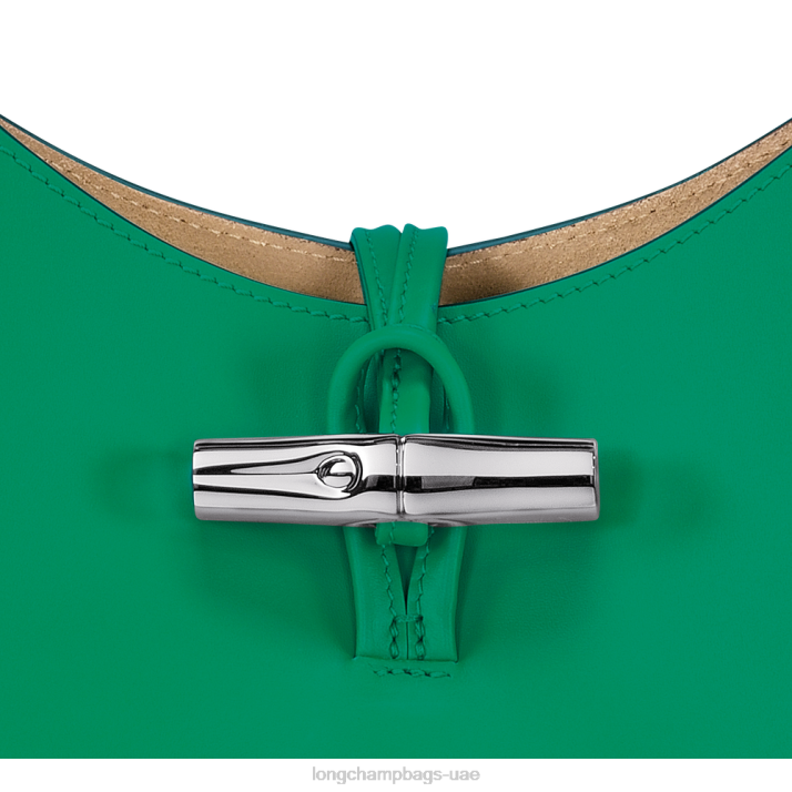 Longchamp حقيبة روزو هوبو م نحيف D2LB366