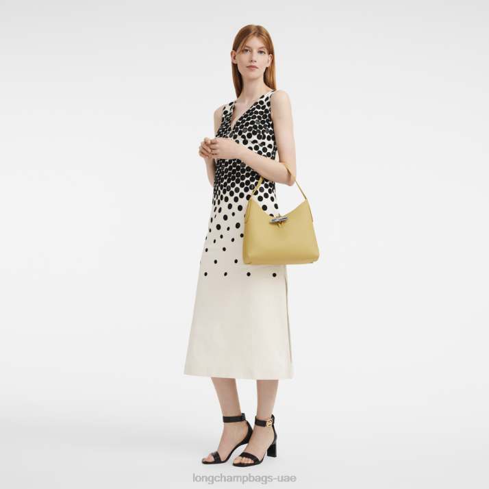 Longchamp حقيبة روزو هوبو م نحيف D2LB377