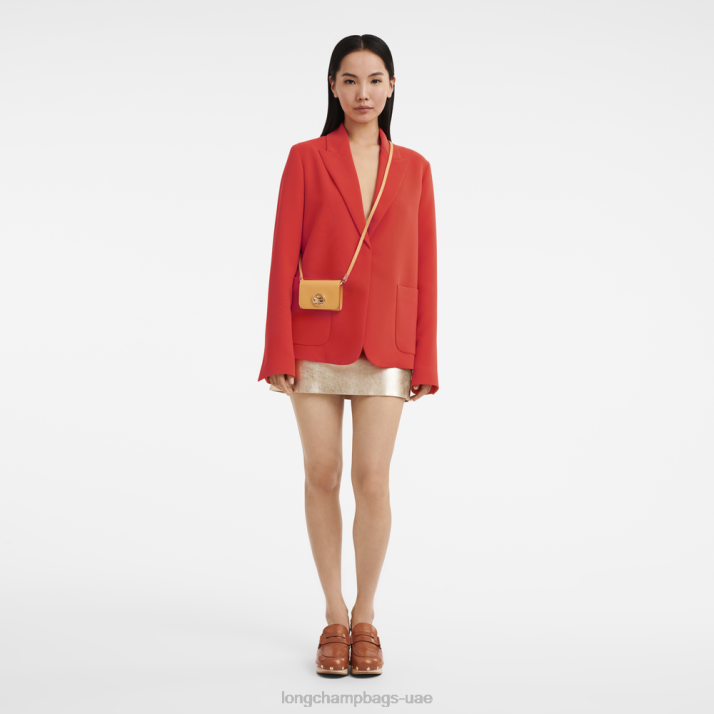 Longchamp محفظة النقود المعدنية الهرولة مربع مع الدانتيل والجلود نحيف D2LB513