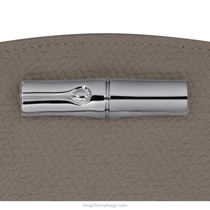 Longchamp محفظة روسو نحيف D2LB586