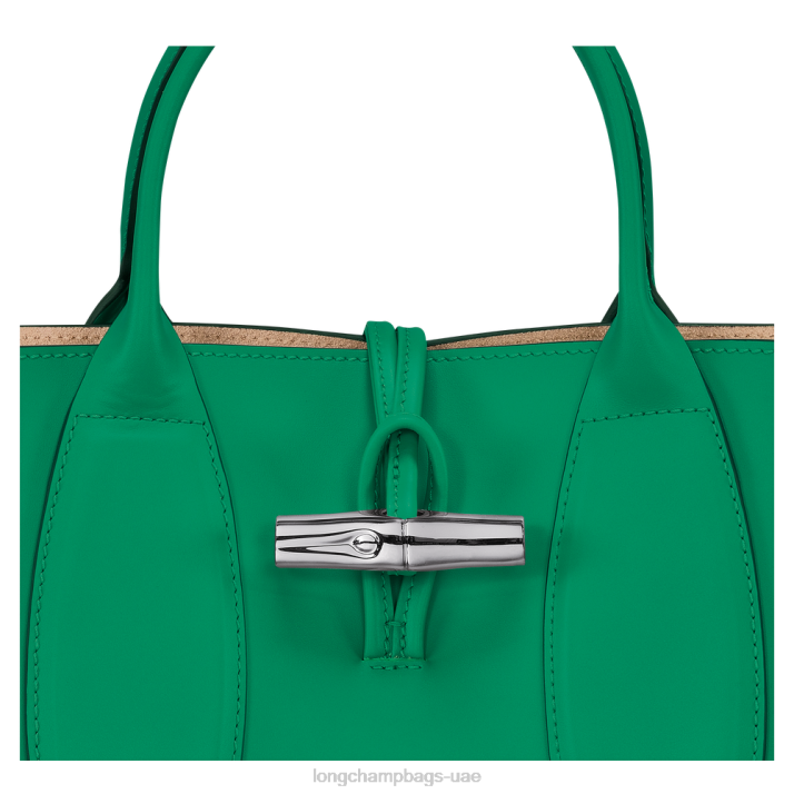 Longchamp حقيبة يد روسو م نحيف D2LB98