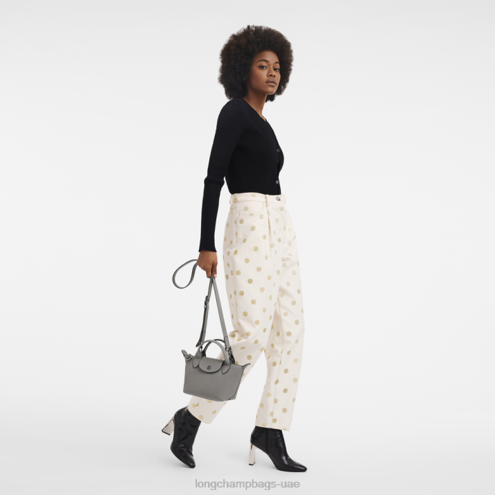 Longchamp حقيبة يد le pliage xtra xs نحيف D2LB148