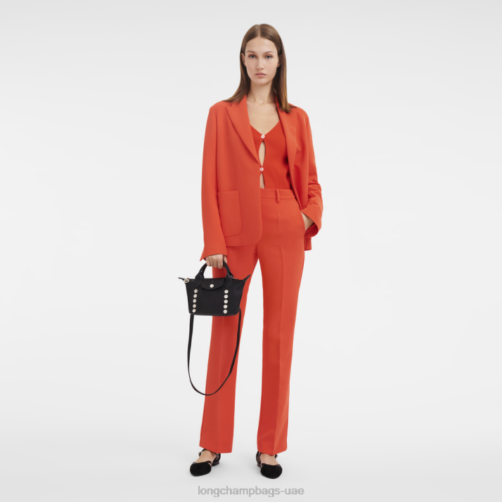 Longchamp حقيبة يد le pliage xtra xs نحيف D2LB157