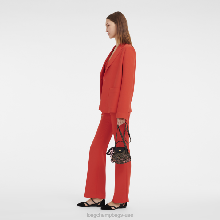 Longchamp حقيبة شبكية لو بلاج xs نحيف D2LB341